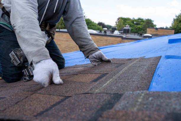 Best New Roof Installation  in New Hope, MS